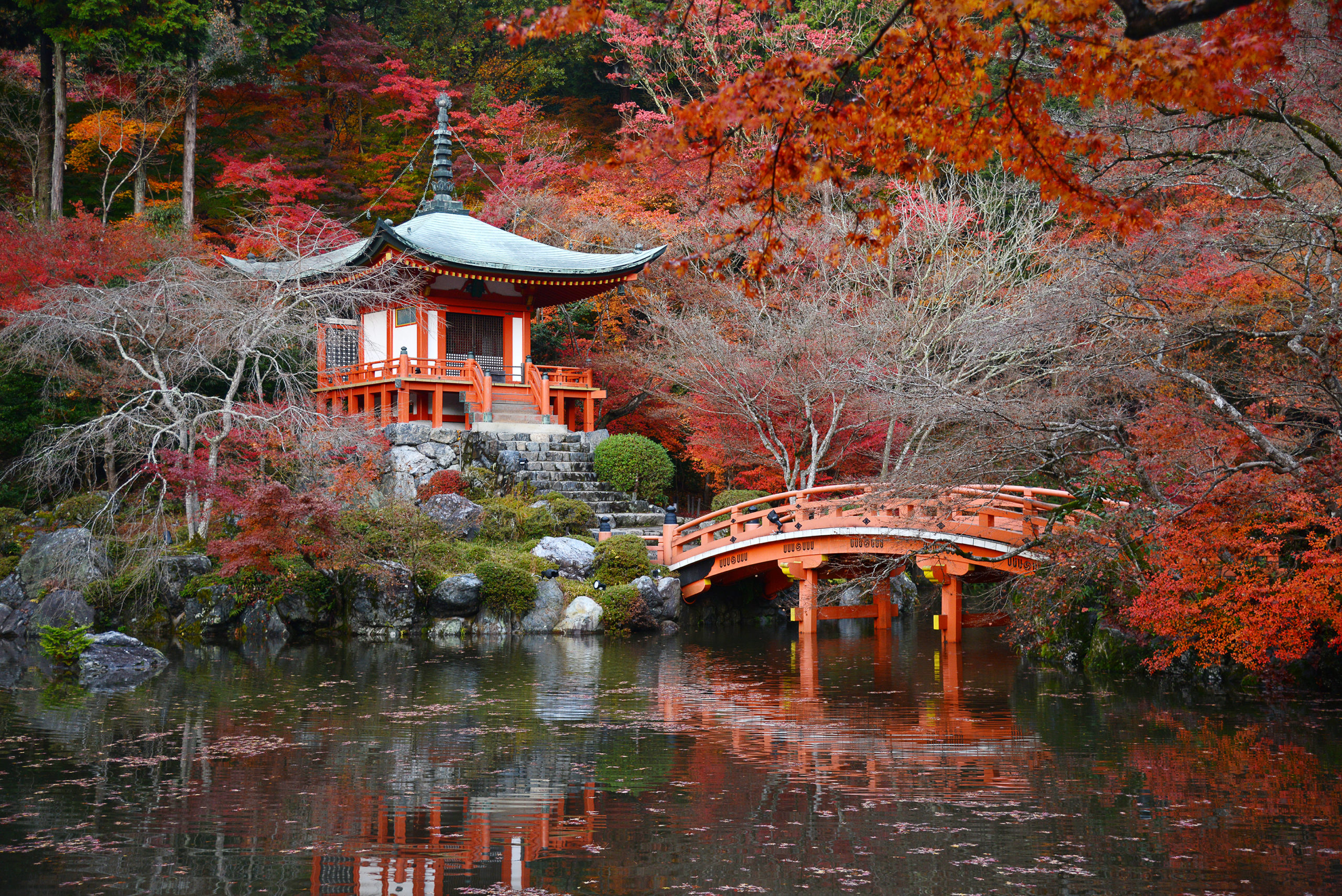 Japanese Zen Garden